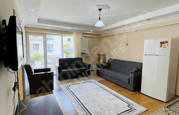 imgi_34_x16_1261258576oe4