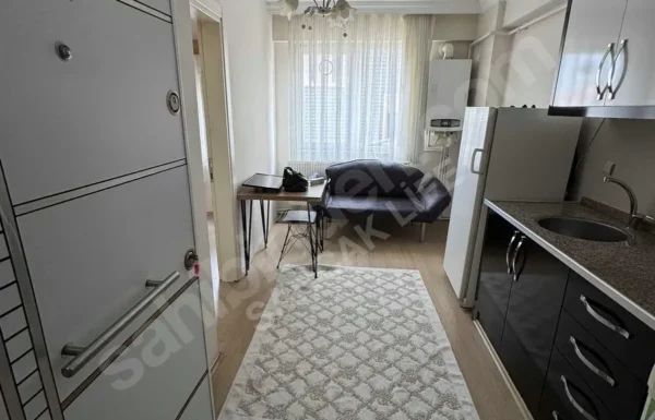 imgi_37_x16_1267545779ej4