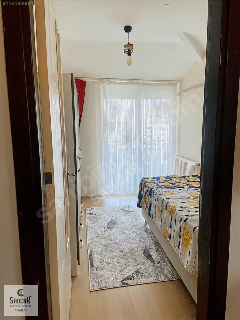 imgi_48_x16_1265846070cyi