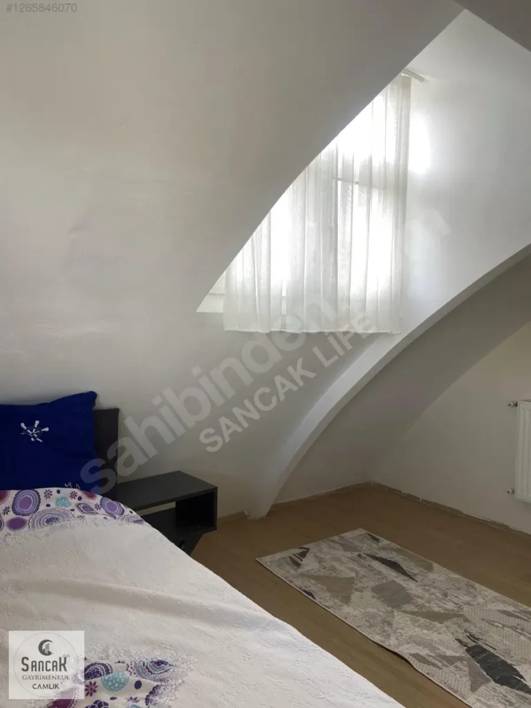 imgi_58_x16_1265846070aev